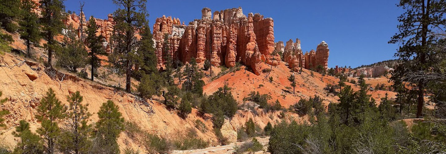 Bryce Canyon II