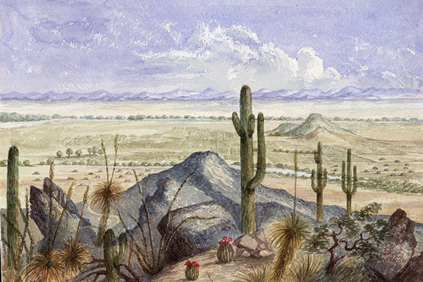 Western History at UNM